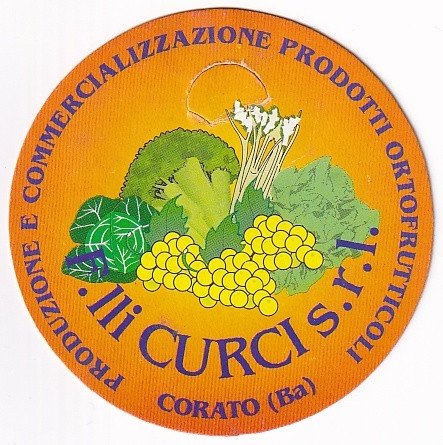F.lli curci s.r.l. produzione e commercializzazione prodotti ortofrutticoli corato