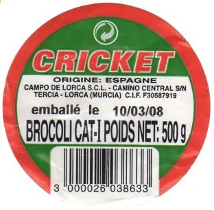 cricket origine espagne brocoli 3000026038633