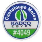 kadco cantaloupe melon egypt #4049