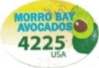 morro bay avocados 4225 usa