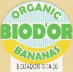 biod or organic bananas ecuador gca26