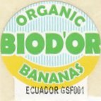 biod or organic bananas ecuador gsf001