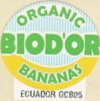 biod or organic bananas ecuador gcb05
