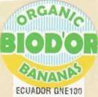biod or organic bananas ecuador gne 100