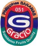 gracio sumitomo fruits quality phillippines bananas 051