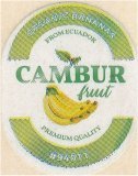cambur fruit organic bananas from ecuador premium quality #94011