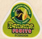 banana fruits ecuaplus premium banana fruits ecuador