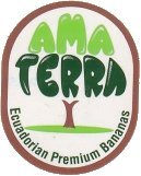 ama terra ecuadorian premium bananas