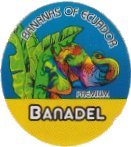 banadel bananas of ecuador premium
