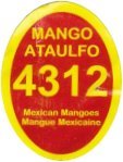 mango ataulfo 4312 mexican mangoes mangue mexicaine